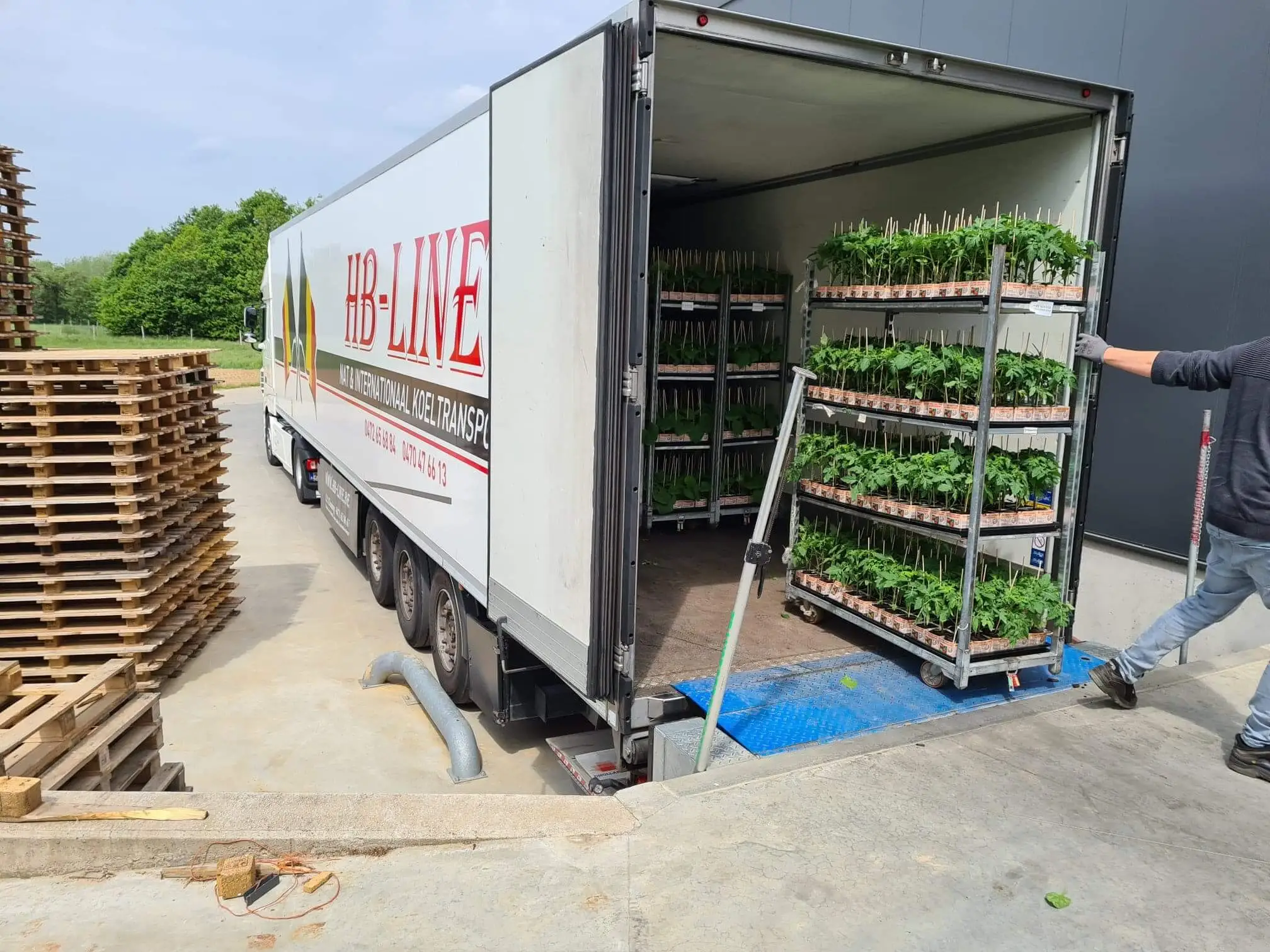 Planten transport door HB-LINE